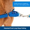 imagePetSafe Easy Walk NoPull Dog Harness  The Ultimate Harness to Help Stop Pulling  Take Control ampamp Teach Better Leash Manners  Helps Prevent Pets Pulling on Walks Large BlackSilverRoyal BlueNavy Blue