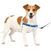 imagePetSafe Easy Walk NoPull Dog Harness  The Ultimate Harness to Help Stop Pulling  Take Control ampamp Teach Better Leash Manners  Helps Prevent Pets Pulling on Walks Large BlackSilverRoyal BlueNavy Blue