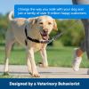 imagePetSafe Easy Walk NoPull Dog Harness  The Ultimate Harness to Help Stop Pulling  Take Control ampamp Teach Better Leash Manners  Helps Prevent Pets Pulling on Walks Large BlackSilverRaspberryGray