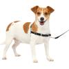 imagePetSafe Easy Walk NoPull Dog Harness  The Ultimate Harness to Help Stop Pulling  Take Control ampamp Teach Better Leash Manners  Helps Prevent Pets Pulling on Walks Large BlackSilverBlackSilver