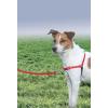 imagePetSafe Easy Walk NoPull Dog Harness  The Ultimate Harness to Help Stop Pulling  Take Control ampamp Teach Better Leash Manners  Helps Prevent Pets Pulling on Walks Large BlackSilverRedBlack