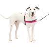 imagePetSafe Easy Walk NoPull Dog Harness  The Ultimate Harness to Help Stop Pulling  Take Control ampamp Teach Better Leash Manners  Helps Prevent Pets Pulling on Walks Large BlackSilverRaspberryGray