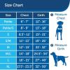imagePetSafe Easy Walk NoPull Dog Harness  The Ultimate Harness to Help Stop Pulling  Take Control ampamp Teach Better Leash Manners  Helps Prevent Pets Pulling on Walks Large BlackSilverRaspberryGray
