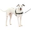 imagePetSafe Easy Walk NoPull Dog Harness  The Ultimate Harness to Help Stop Pulling  Take Control ampamp Teach Better Leash Manners  Helps Prevent Pets Pulling on Walks Large BlackSilverBlackSilver