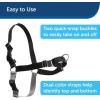imagePetSafe Easy Walk NoPull Dog Harness  The Ultimate Harness to Help Stop Pulling  Take Control ampamp Teach Better Leash Manners  Helps Prevent Pets Pulling on Walks Large BlackSilverRaspberryGray