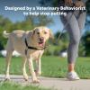 imagePetSafe Easy Walk NoPull Dog Harness  The Ultimate Harness to Help Stop Pulling  Take Control ampamp Teach Better Leash Manners  Helps Prevent Pets Pulling on Walks Large BlackSilverBlackSilver