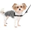 imagePetSafe Easy Walk NoPull Dog Harness  The Ultimate Harness to Help Stop Pulling  Take Control ampamp Teach Better Leash Manners  Helps Prevent Pets Pulling on Walks Large BlackSilverBlackSilver