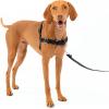 imagePetSafe Easy Walk NoPull Dog Harness  The Ultimate Harness to Help Stop Pulling  Take Control ampamp Teach Better Leash Manners  Helps Prevent Pets Pulling on Walks Large BlackSilverCharcoalBlack
