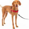 imagePetSafe Easy Walk NoPull Dog Harness  The Ultimate Harness to Help Stop Pulling  Take Control ampamp Teach Better Leash Manners  Helps Prevent Pets Pulling on Walks Large BlackSilverRedBlack