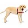 imagePetSafe Easy Walk NoPull Dog Harness  The Ultimate Harness to Help Stop Pulling  Take Control ampamp Teach Better Leash Manners  Helps Prevent Pets Pulling on Walks Large BlackSilverRedBlack