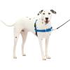 imagePetSafe Easy Walk NoPull Dog Harness  The Ultimate Harness to Help Stop Pulling  Take Control ampamp Teach Better Leash Manners  Helps Prevent Pets Pulling on Walks Large BlackSilverRoyal BlueNavy Blue