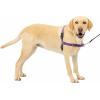 imagePetSafe Easy Walk NoPull Dog Harness  The Ultimate Harness to Help Stop Pulling  Take Control ampamp Teach Better Leash Manners  Helps Prevent Pets Pulling on Walks Large BlackSilverDeep PurpleBlack