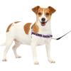 imagePetSafe Easy Walk NoPull Dog Harness  The Ultimate Harness to Help Stop Pulling  Take Control ampamp Teach Better Leash Manners  Helps Prevent Pets Pulling on Walks Large BlackSilverDeep PurpleBlack