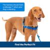imagePetSafe Easy Walk NoPull Dog Harness  The Ultimate Harness to Help Stop Pulling  Take Control ampamp Teach Better Leash Manners  Helps Prevent Pets Pulling on Walks Large BlackSilverRoyal BlueNavy Blue