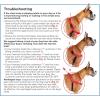 imagePetSafe Easy Walk NoPull Dog Harness  The Ultimate Harness to Help Stop Pulling  Take Control ampamp Teach Better Leash Manners  Helps Prevent Pets Pulling on Walks Large BlackSilverFawnBrown