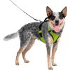 imagePetSafe EasySport Dog Harness  Adjustable Padded Dog Harness with Control Handle and Reflective Piping  Large PinkApple Green
