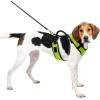 imagePetSafe EasySport Dog Harness  Adjustable Padded Dog Harness with Control Handle and Reflective Piping  Large PinkApple Green