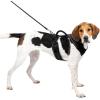 imagePetSafe EasySport Dog Harness  Adjustable Padded Dog Harness with Control Handle and Reflective Piping  Large PinkBlack