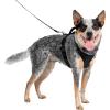 imagePetSafe EasySport Dog Harness  Adjustable Padded Dog Harness with Control Handle and Reflective Piping  Large PinkBlack
