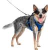 imagePetSafe EasySport Dog Harness  Adjustable Padded Dog Harness with Control Handle and Reflective Piping  Large PinkBlue