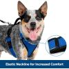 imagePetSafe EasySport Dog Harness  Adjustable Padded Dog Harness with Control Handle and Reflective Piping  Large PinkBlue