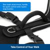 imagePetSafe EasySport Dog Harness  Adjustable Padded Dog Harness with Control Handle and Reflective Piping  Large PinkCharcoal