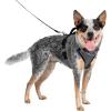 imagePetSafe EasySport Dog Harness  Adjustable Padded Dog Harness with Control Handle and Reflective Piping  Large PinkCharcoal