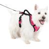 imagePetSafe EasySport Dog Harness  Adjustable Padded Dog Harness with Control Handle and Reflective Piping  Large PinkPink