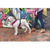 imagePetSafe EasySport Dog Harness  Adjustable Padded Dog Harness with Control Handle and Reflective Piping  Large PinkPink