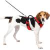 imagePetSafe EasySport Dog Harness  Adjustable Padded Dog Harness with Control Handle and Reflective Piping  Large PinkRed