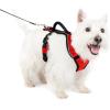 imagePetSafe EasySport Dog Harness  Adjustable Padded Dog Harness with Control Handle and Reflective Piping  Large PinkRed