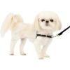 imagePetSafe Easy Walk NoPull Dog Harness  The Ultimate Harness to Help Stop Pulling  Take Control ampamp Teach Better Leash Manners  Helps Prevent Pets Pulling on Walks Large BlackSilverBlackSilver