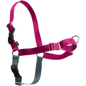 imagePetSafe Easy Walk NoPull Dog Harness  The Ultimate Harness to Help Stop Pulling  Take Control ampamp Teach Better Leash Manners  Helps Prevent Pets Pulling on Walks Large BlackSilverRaspberryGray