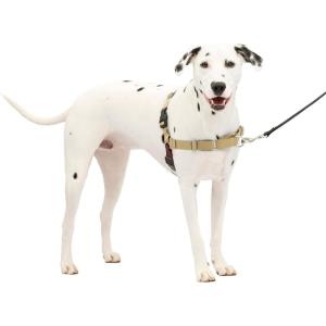 imagePetSafe Easy Walk NoPull Dog Harness  The Ultimate Harness to Help Stop Pulling  Take Control ampamp Teach Better Leash Manners  Helps Prevent Pets Pulling on Walks Large BlackSilverTan