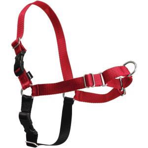 imagePetSafe Easy Walk NoPull Dog Harness  The Ultimate Harness to Help Stop Pulling  Take Control ampamp Teach Better Leash Manners  Helps Prevent Pets Pulling on Walks Large BlackSilverRedBlack