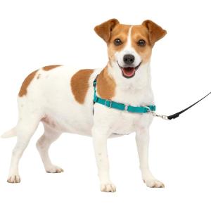 imagePetSafe Easy Walk NoPull Dog Harness  The Ultimate Harness to Help Stop Pulling  Take Control ampamp Teach Better Leash Manners  Helps Prevent Pets Pulling on Walks Large BlackSilverTealGray