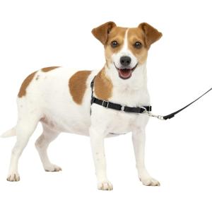imagePetSafe Easy Walk NoPull Dog Harness  The Ultimate Harness to Help Stop Pulling  Take Control ampamp Teach Better Leash Manners  Helps Prevent Pets Pulling on Walks Large BlackSilverCharcoalBlack