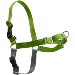 imagePetSafe Easy Walk NoPull Dog Harness  The Ultimate Harness to Help Stop Pulling  Take Control ampamp Teach Better Leash Manners  Helps Prevent Pets Pulling on Walks Large BlackSilvergreen