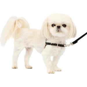 imagePetSafe Easy Walk NoPull Dog Harness  The Ultimate Harness to Help Stop Pulling  Take Control ampamp Teach Better Leash Manners  Helps Prevent Pets Pulling on Walks Large BlackSilverBlackSilver