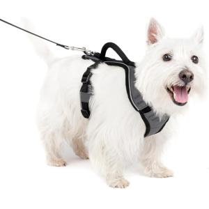 imagePetSafe EasySport Dog Harness  Adjustable Padded Dog Harness with Control Handle and Reflective Piping  Large PinkCharcoal