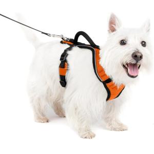 imagePetSafe EasySport Dog Harness  Adjustable Padded Dog Harness with Control Handle and Reflective Piping  Large PinkOrange