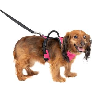 imagePetSafe EasySport Dog Harness  Adjustable Padded Dog Harness with Control Handle and Reflective Piping  Large PinkPink