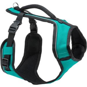 imagePetSafe EasySport Dog Harness  Adjustable Padded Dog Harness with Control Handle and Reflective Piping  Large PinkTeal