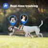 imagePetSafe Guardian GPS  Tracking Dog Fence Collar with Addl Grey Collar Strap  Wireless Dog Fence with RealTime Tracking  Most Reliable GPS Fence for Yards Over  Acres  Subscription Required