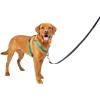 imagePetSafe 3 in 1 Dog Harness  No Pull Solution for Dogs  Reflective Dog Harness  Front DRing Clip Helps Stop Pulling  Comfortable Padded Straps  Top Handle Enhances Control  Plum  MediumTeal
