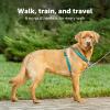 imagePetSafe 3 in 1 Dog Harness  No Pull Solution for Dogs  Reflective Dog Harness  Front DRing Clip Helps Stop Pulling  Comfortable Padded Straps  Top Handle Enhances Control  Plum  MediumTeal