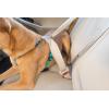 imagePetSafe 3 in 1 Dog Harness  No Pull Solution for Dogs  Reflective Dog Harness  Front DRing Clip Helps Stop Pulling  Comfortable Padded Straps  Top Handle Enhances Control  Plum  MediumTeal