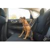 imagePetSafe 3 in 1 Dog Harness  No Pull Solution for Dogs  Reflective Dog Harness  Front DRing Clip Helps Stop Pulling  Comfortable Padded Straps  Top Handle Enhances Control  Plum  MediumPlum