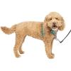 imagePetSafe 3 in 1 Dog Harness  No Pull Solution for Dogs  Reflective Dog Harness  Front DRing Clip Helps Stop Pulling  Comfortable Padded Straps  Top Handle Enhances Control  Plum  MediumTeal