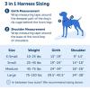 imagePetSafe 3 in 1 Dog Harness  No Pull Solution for Dogs  Reflective Dog Harness  Front DRing Clip Helps Stop Pulling  Comfortable Padded Straps  Top Handle Enhances Control  Plum  MediumTeal
